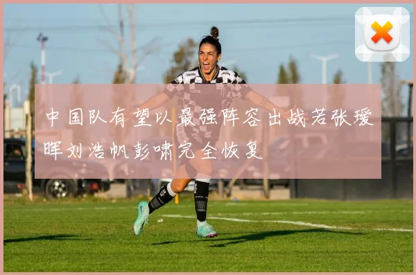 中国队有望以最强阵容出战若张瑷晖刘浩帆彭啸完全恢复