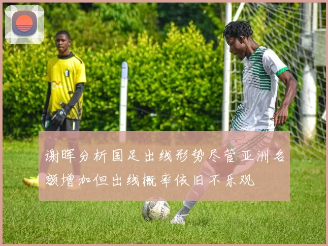 谢晖分析国足出线形势尽管亚洲名额增加但出线概率依旧不乐观