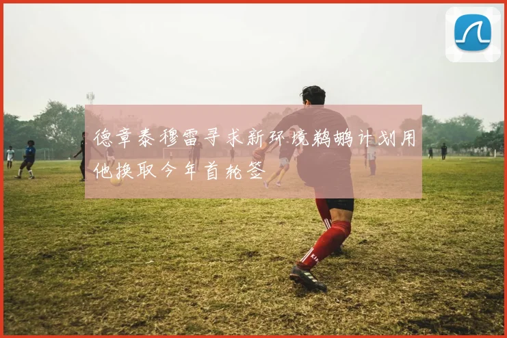 德章泰穆雷寻求新环境鹈鹕计划用他换取今年首轮签
